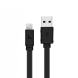 АЗП Hoco Z1 2.1A/2 USB + lightning cable Black